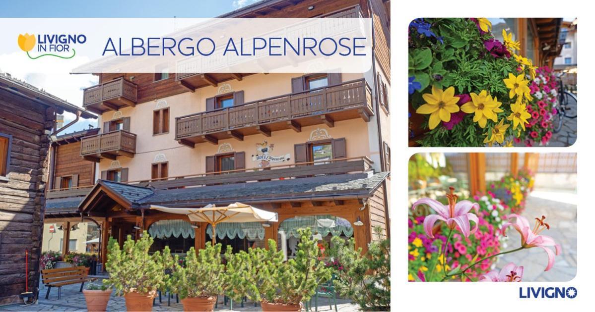 Albergo Alpenrose 리비뇨 외부 사진